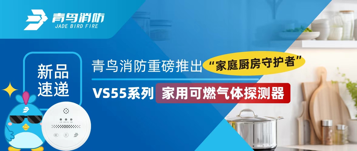 新品速递 | 青鸟消防重磅推出&ldquo;家庭厨房守护者&rdquo;&mdash;&mdash;VS55系列家用可燃气体探测器
